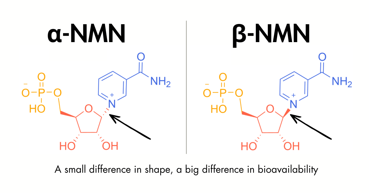 Alpha vs. Beta NMN: Why Your NMN May Not Be Working For You