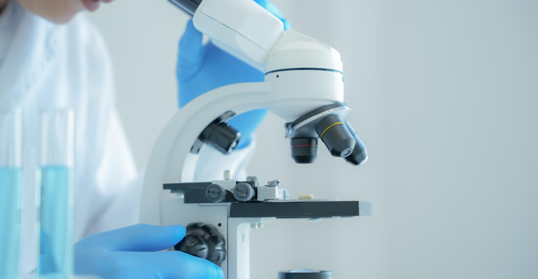 NMN Clinical Studies