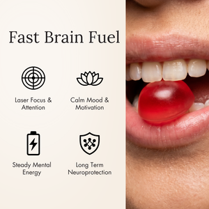 Brain Boost+