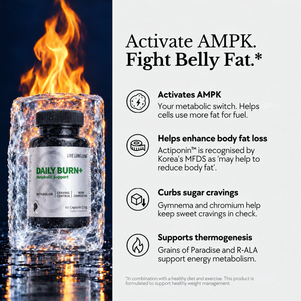 Daily Burn+ in ice under flames, with four benefits