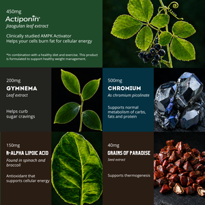 The five active ingredients in Daily Burn+