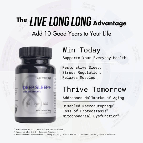 Deepsleep Drop Deep Sleep+ 4-in-1 Magnesium Sleep Supplement | Live Long Long